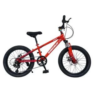 China Factory 18 20 22 24inch Children’s Fashion 7 Speed Bicycle Students Bike Cycle