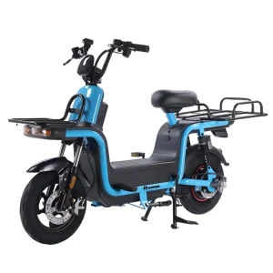 China Factory 48V 1000W Cargo Electric Bike 16 Inch Long Distance Delivery Electric Bikes for City Fast Food Takeout