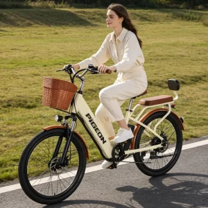 China Factory 500W 48V 45kmph Adult 24 Inch Electric Bike Electric Assisted Bike City Commuter E Bike