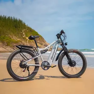 China Factory Direct Price Electric Bike Dual Motors Electric Mountain Bike Adult Electric Bike Electric Bicycle
