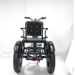 China Factory Direct Sale 24” Cargo Electric Tricycle 500w/750w Front 3 Wheel Electric Bike Fat Tire Ebike Passenger Seat