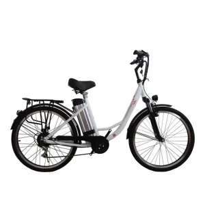 China Factory Electric Bike City Bike Lithium Battery High Power Adult Motorcycle Hybrid Electric Bicycle