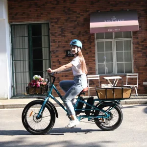 China Factory Electric Cargo Bike Two Batteries Brushless Motor Fat Tire Disc Brake System Aluminum Frame Cargo