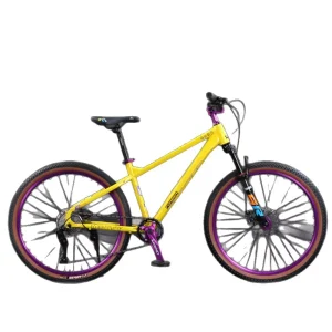 China Factory High Quality 24-Inch MTB Premium Mountain Bike Adult Bicycle Aluminum Ordinary Comfortable for Adventure Riding