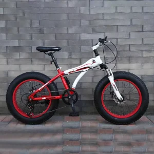 China Factory OEM 20 Inch Bicicleta Mountain Bike Full Suspension Fat Tire Bicycle Beach Snow Bike for Men Fat Bicycle