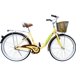 China Hi-ten Steel Dutch City Bike Logo Customized Holland Bike for Men Classical 28 Inch Size Men Bikes for Sale