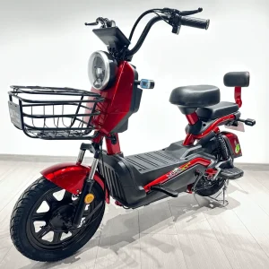 China High Quality 3 Wheel Electric Scooter Ebike 1000W Brushless Motor Steel Frame Lightweight City Use