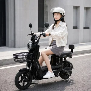 China High Quality 350W 48V Electric Bike 14inch Tire 200KG Load 40km/h High Speed Long Range Adult Electric City Bike