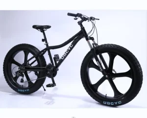 China Manufacturer Sport 21 Speed Fat Downhill Male Mountain Bike 26 29 Inch Adults Beach Bicicletas Men Snow Bicycles