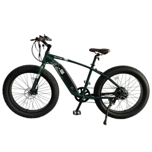 China New Design Electric Bike with 500W elctricas Electric Bicycle 500w fat Tire Electric Bike 750