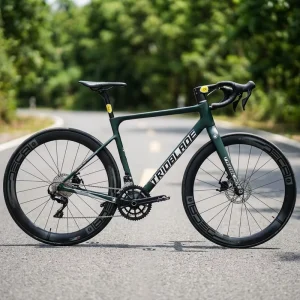 China New Style Factory Racing Cycles for Men Light Weight Carbon Fiber 700C 22 Speed Disc Aluminum Rim Road Bike Gravel Bike