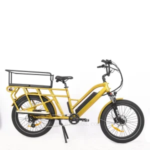 China OEM 24inch Adult Electric Cargo Bike Best Design for Family Rear Motor E bike with Dual Lithium Battery New Model