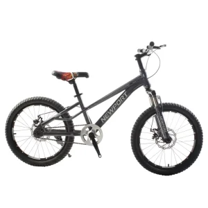 China Supplier 20 Inch Student SY Bisicleta Children Cycle Kids Bicycles Sport Unisex Mountain Bike for 12 Years Old Boy