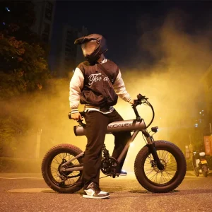 China Supplier Factory Electric Charging Bikes Adult Electric Bike Fast Electric Bike