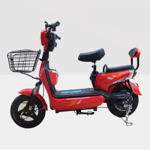 China’s Electric Bicycle for Adults 48v Central Motor Electronic Smart Type Lead acid Electric City Bike