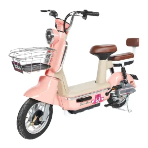 China’s High Quality Electronic Digital Electric Bikes for Adults 48V High Speed Rear Hub Electric Bikes