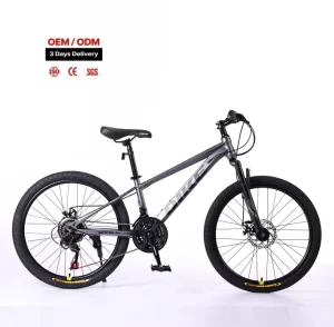 Chinese Factory 24 26 Inch Mountain Sports Youth Bike Grey Variable Speed Mountain Bicycle Kids for Boys Girls