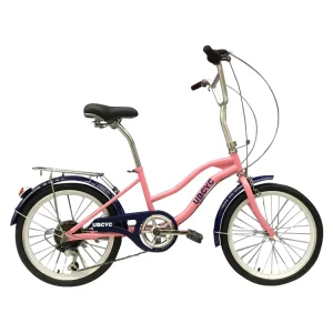 Chinese Factory 7 Speed Women’s City Leisure Bicycles 20 Inch Steel Frame Men’s Bikes with Ordinary Pedal