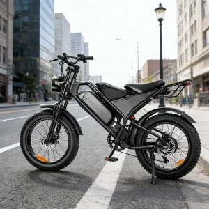 Chinese Fast Brazil EU 48V El Bike Fat Tire City Electric Bike 1000w Electric Bicycle for Adults