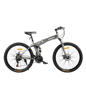Chinese New Style Folding Bicycle for Men
