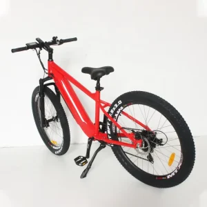 Chinese Sale 250W Mtb Ebike Electric Power Mountain Bike with Pedal