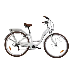 City Bicycle 24 Inch City Bike/cycle Steel Frame 1 Speed City Bike