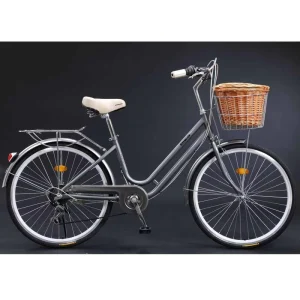 City Bike High Carbon Steel Rigid Front Fork City Bicycle