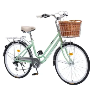 City Bike for Adults Urban Style Bicycle for Women and Men Option for Students