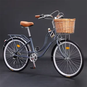 City Bikes for Adults From China Factory