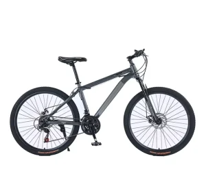City Commute Sport Style Carbon Steel Specialized Bike Ordinary Pedal Mountain Bike