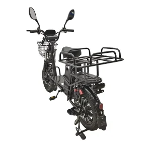 City Electric Bike Dual Removable Battery 48V 30AH E Bike 16 Inch 500W Motor Electric Bicycle