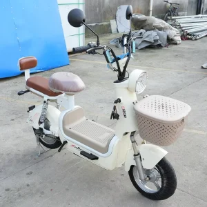 City Electric Bike Road Bicycle Electric Chargeable Off-road Motorcycle