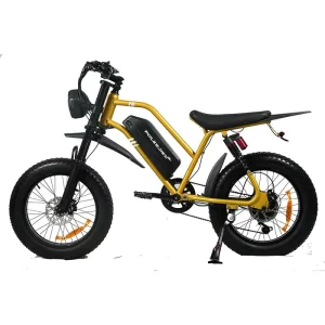 City Electric Bike for Adults 7 Speed Fat Tire 750-1000W Brushless Motor 48V Lithium Battery High Carbon Steel Frame