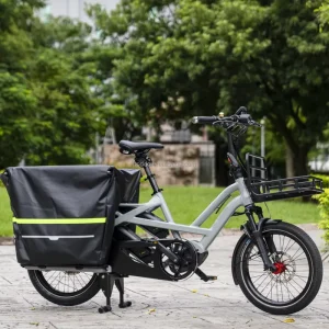 City Electric Cargo Bike 48V 250W Dual Battery Cargo Bike 2 Wheeler Long Tail with Basket for Adults