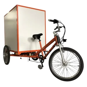City Street Touring Three Wheels Electric Cargo Trike Big Box Goods Transport Bike