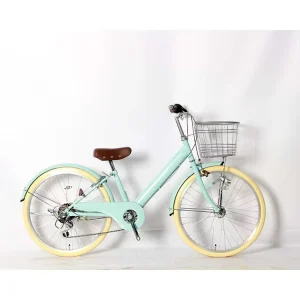 Classic 22 24 Inch Steel Frame City Bike with 6 Speed Adults Steel Frame Material Women’s Bicycle