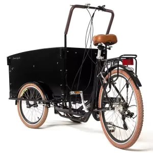 Classic Cargo Three wheeled Bicycle Outdoor Business Passenger Bike