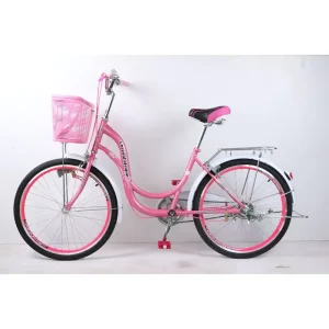 Classic City Bike OEM Girl 24 Inch Steel Frame Single Speed Teen Urban Bicycle