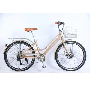 Classic Steel Ultra Light Mountain Bike Moon 1 Multi-Speed Long Distance Touring Dutch Bicycle