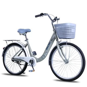Classic Vintage Design 20 Inch Steel Frame Lady City Bike Single Speed Brake Line System with Carrying Capacity for Two People