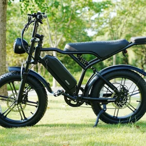 Classic fat fish ebike Waterproof level IP45 fat tire bicycle Cost Effective