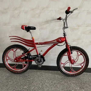 Coaster Brake BMX Bike 20 Double V with 4 Pegs Steel Customized Aluminum Alloy Bicycle Rim 20