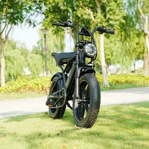 Comfortable 500w City Ebike Electric Bike Lithium Ion Electric Fat Bike Elevator Friendly