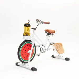 Commercial Smoothie Bike For Kids With Aluminum Alloy Frame Brake Line 90kg Load Capacity Juicer Extractor