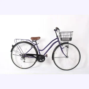 Commuting Classic Adult Urban Retro Women’s City Bike with Steel Fork 6-Speed Gears Disc Brakes