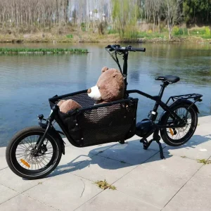 Convenient 2 Wheel Cargo Bike to Carry Kids Goods Aluminum Alloy Frame Pedal Assist Front Load Cargo Tricycle