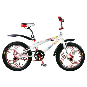 Cool Stunt Design Steel Frame BMX Bike Thick Wide Tire and Freestyle Peg Equipped BMX Bike for Street Stunt Performance