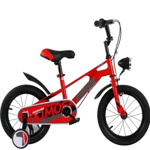 Cost Effective Single-Speed Kids Bicycle Designed for Sports & Health kids Bike DW-HBDS-RX9