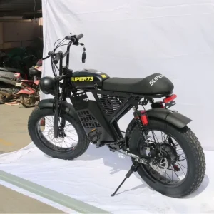 Custom 20” Fat Tire Retro Brushless Electric Mountain Bike 750W Full Suspension Hydraulic Disc Brake Steel 7 Speed