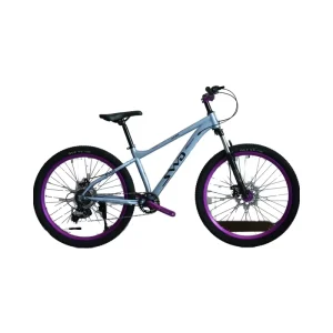 Custom 7 Speed 26 Inch Vintage Urban Steel Mountain Bike Full Shockproof Frame Aluminum Alloy Fork Disc Brake Folding Feature